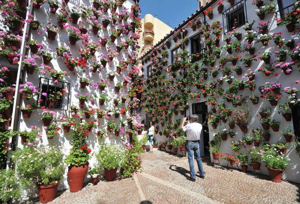 Grupo Limcotel Perla 1 Córdoba Eksteriør bilde